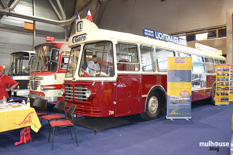 Festival des véhicules anciens -Mulhouse - bus
